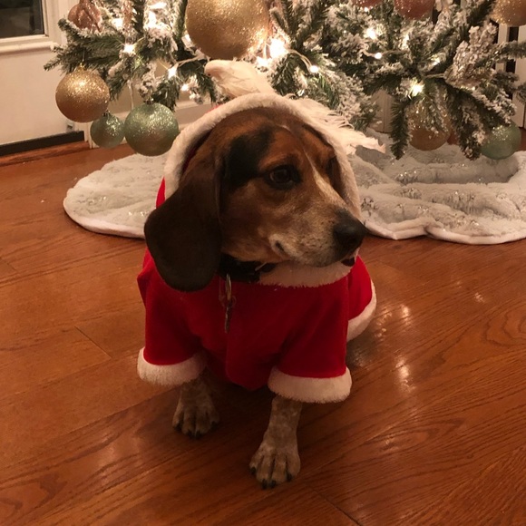 25% off 2 or more bundles — Welcome to my closet! - Picture 6 of 8